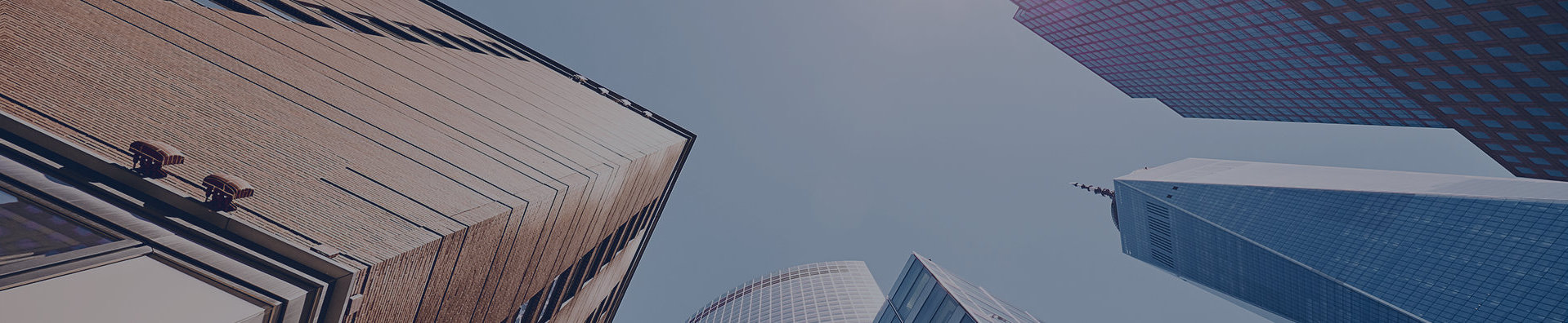 banner05.jpg